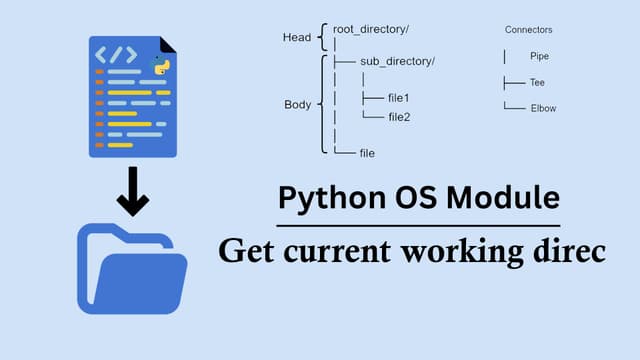 current working directory python